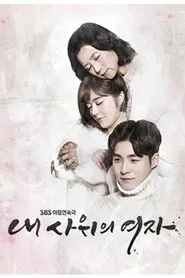 My Son-In-Law's Woman tv show poster