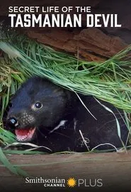 Secret Life Of The Tasmanian Devil tv show poster