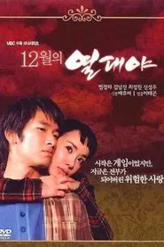 December Fever tv show poster