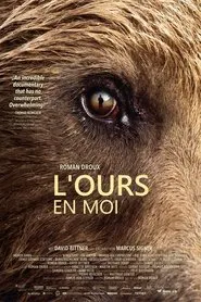 Poster do filme Como Um Urso