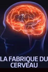 La fabrique du cerveau movie poster