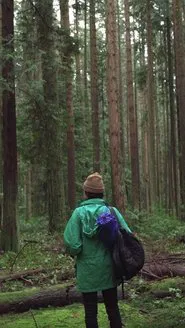 Forest Movie movie poster