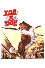 Lad: A Dog movie poster