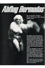 Abflug Bermudas movie poster
