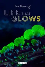 Attenborough's Life That Glows movie poster