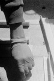 Nic & Nunc movie poster