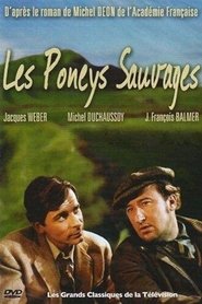 Les Poneys sauvages tv show poster