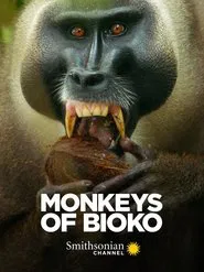 Monkeys of Bioko movie poster