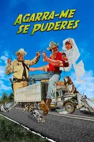 Poster do filme Agarra-me se Puderes