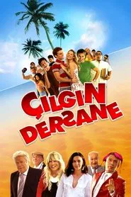 Çılgın Dersane movie poster