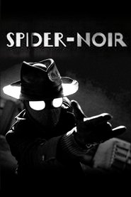 Noir tv show poster