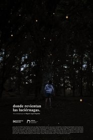 Where the fireflies burst movie poster