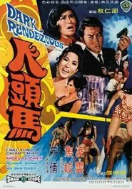 Dark Rendezvous movie poster