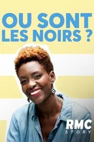 Où sont les noirs ? movie poster
