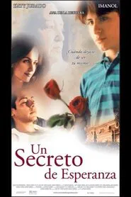 A Beautiful Secret movie poster