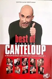 Best Of Nicolas Canteloup movie poster