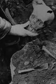 Poster do filme Story of the Unknown Soldier