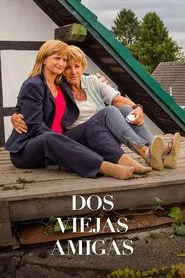 Zwei mitten im Leben movie poster