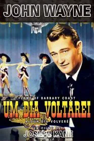 Poster do filme Um Dia Voltarei
