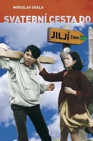 Bridal Tour to Jilji movie poster