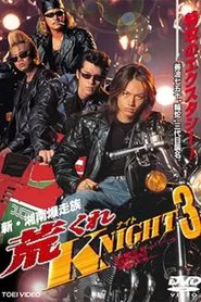 Rough KNIGHT 3 movie poster