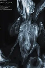 Animal Hospital movie poster