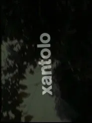 Xantolo, fiesta de la muerte movie poster