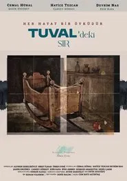 The Secret on the Canvas movie poster