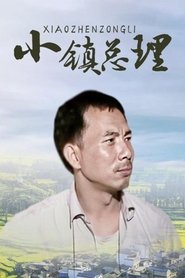 小镇总理 tv show poster