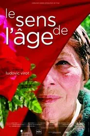 Le sens de l'âge movie poster