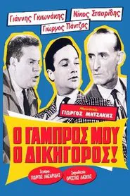 Ο Γαμπρός Μου, Ο Δικηγόρος! movie poster