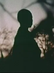 Nawi movie poster