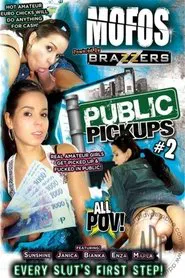 Public Pickups 2 movie poster
