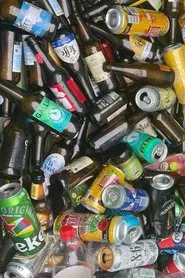 The Bouduuu Vlog movie poster