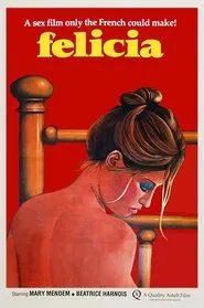 1001 Perversions of Felicia movie poster