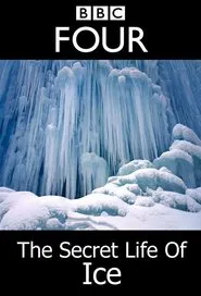 The Secret Life Of Ice movie poster