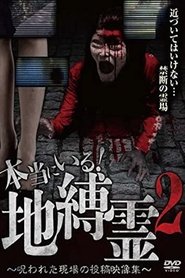 They Really Exist! Earthbound Spirits 2 - Cursed Scene Submitted Video Collection movie poster