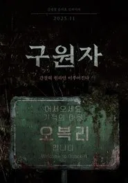 The Favor movie poster