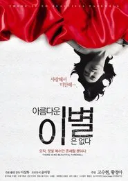 There Is No Beautiful Farewell movie poster