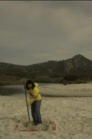 Why We Came movie poster