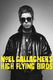Noel Gallagher's High Flying Birds en concert au Zénith de Paris movie poster