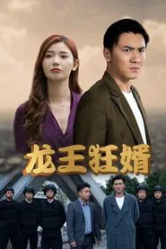 龙王狂婿 tv show poster