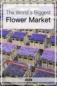 The World's Biggest Flower Market movie poster
