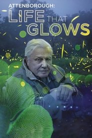 Attenborough's Life That Glows movie poster