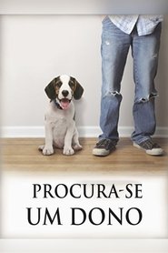 Poster do filme Procura-se um dono