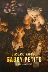 Poster do filme O Assassinato de Gabby Petito: O Que Aconteceu?