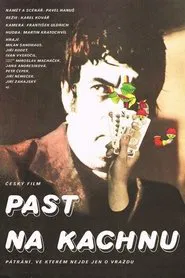 Poster do filme Past na kachnu