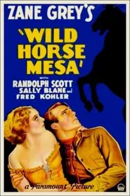 Poster do filme Wild Horse Mesa