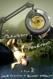 Poster do filme Strawberry Forever