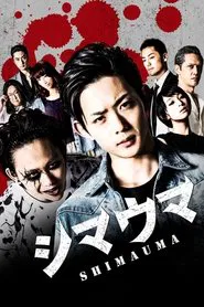 Poster do filme Zebra
